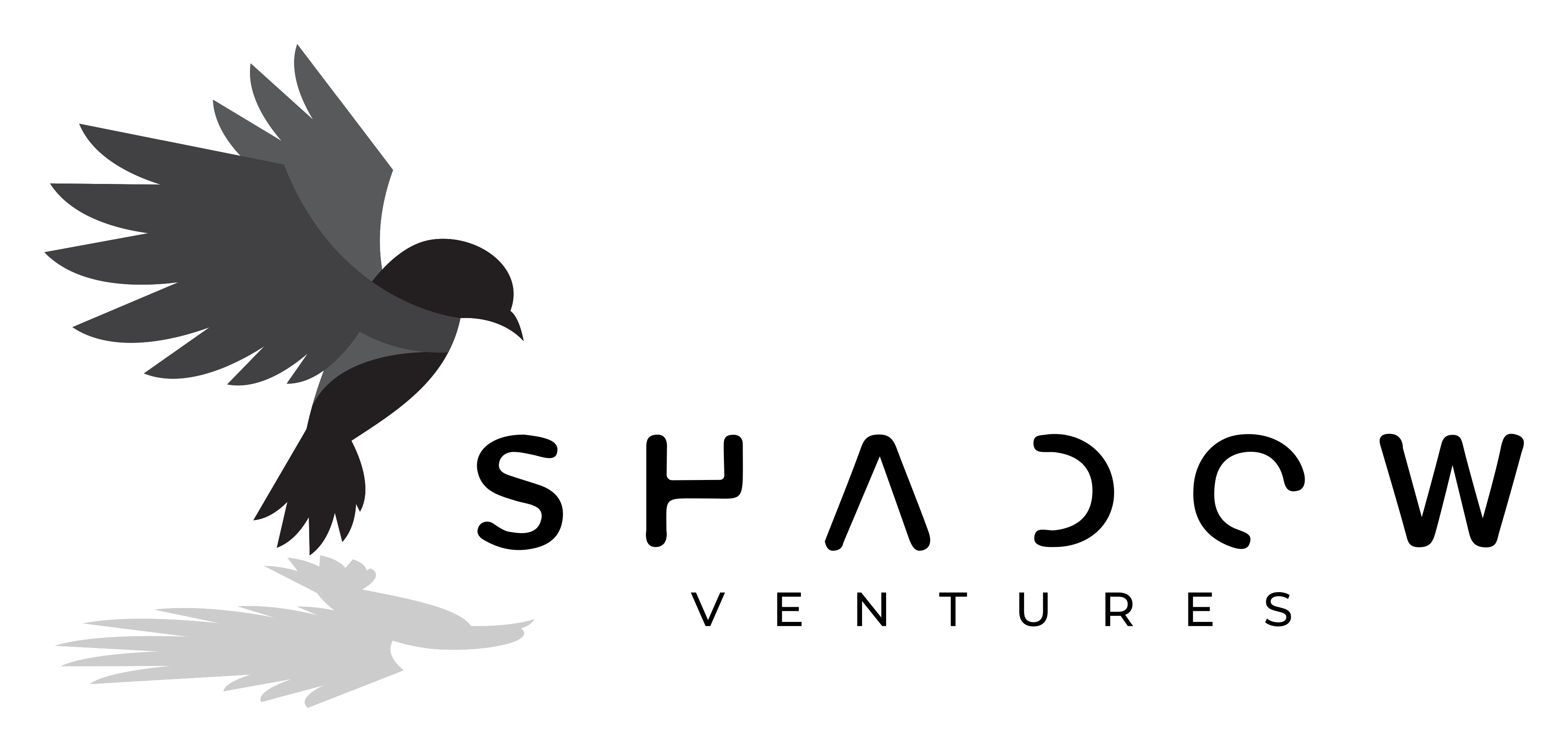 Shadow Ventures